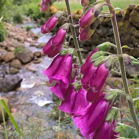 Séjour à la campagne Alvarinho *