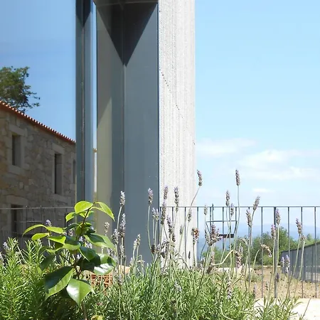 Alvarinho Casa rural