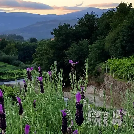 Séjour à la campagne Alvarinho Melgaço