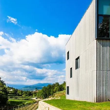 Alvarinho Мелгасу