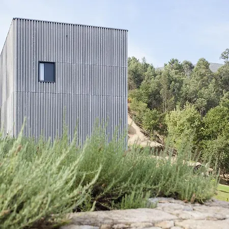 Alvarinho Летний дом *