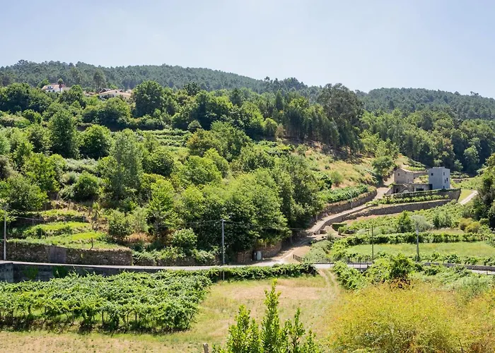 乡村民宿 Alvarinho