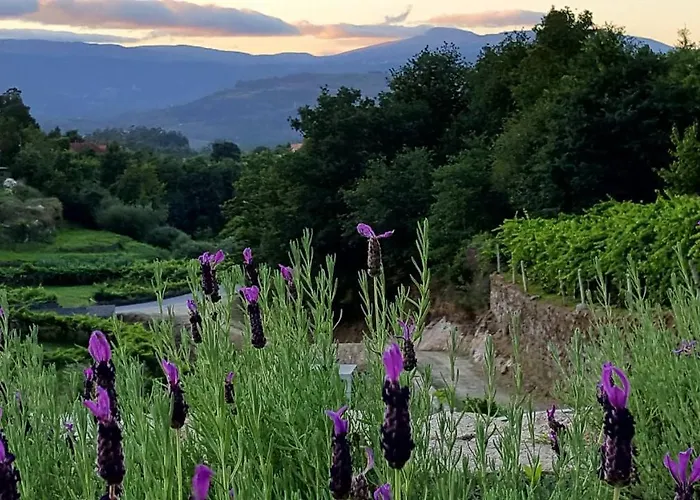 컨트리하우스 Alvarinho 멜가코