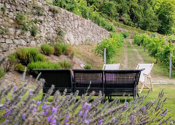 Alvarinho * 멜가코