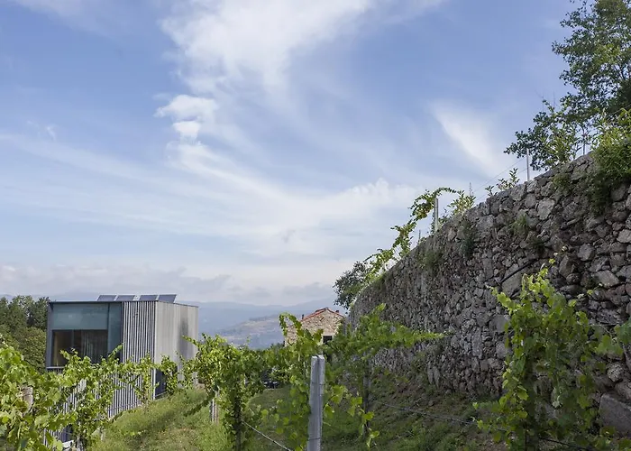 Εξοχικό σπίτι Alvarinho